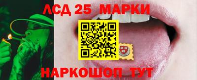 МДПВ Новокубанск